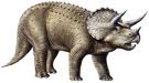 Triceratops - Creta superiore