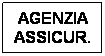 Casella di testo: AGENZIA ASSICUR.

