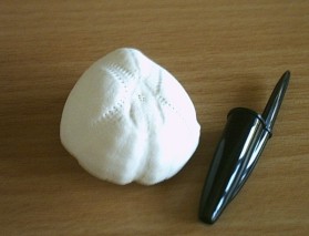 ECHINIDE IRREGOLARE
